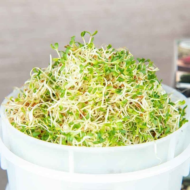 Easy-Sprout Kweekset - 6-delig